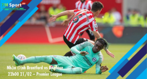 Đội hình dự kiến trước trận Brentford vs Brighton