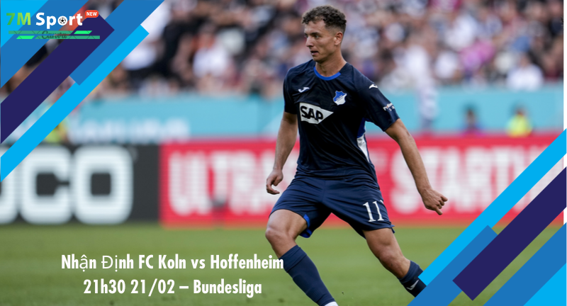 Đội hình dự kiến trước trận FC Koln vs Hoffenheim Đội hình dự kiến trước trận FC Koln vs Hoffenheim