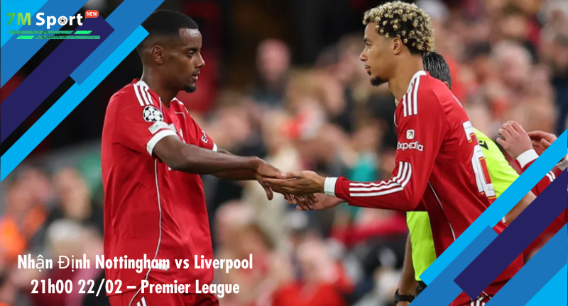 Đội hình dự kiến trước trận Nottingham vs Liverpool Đội hình dự kiến trước trận Nottingham vs Liverpool